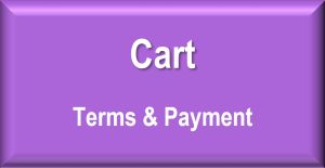 Terms & Payment