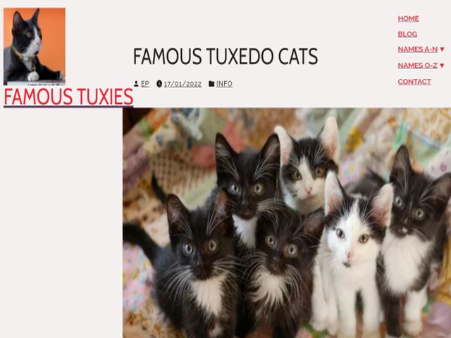 Famous Tuxedo Cats